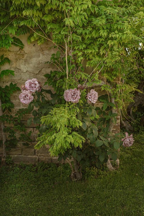 Villa Corallo Sant'Omero Екстер'єр фото