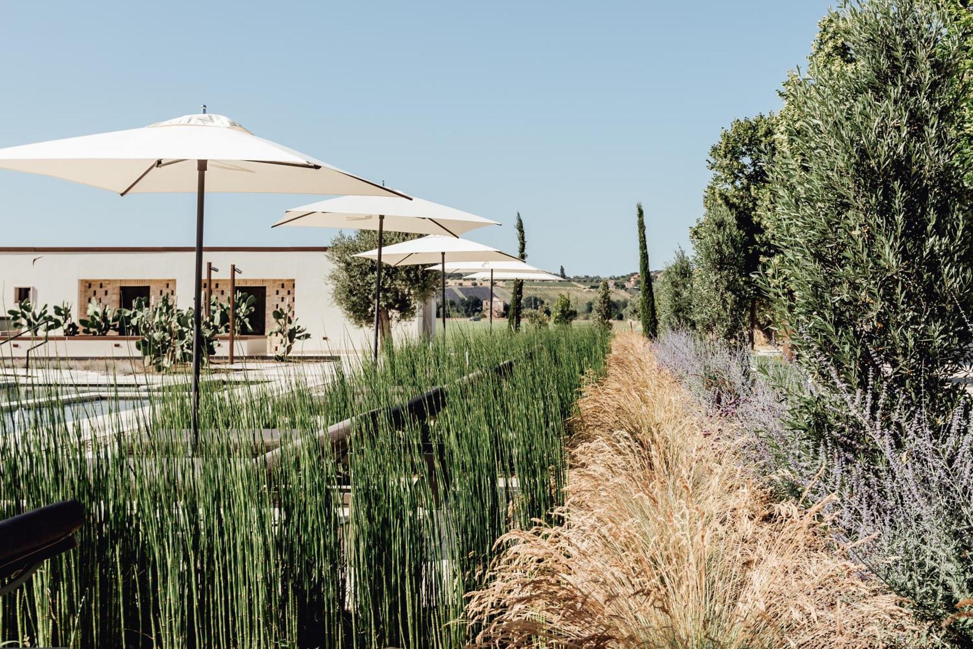 Villa Corallo Sant'Omero Екстер'єр фото